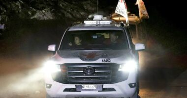 Hamas hands over another Israeli hostage's remains as Gaza ceasefire exchanges continue