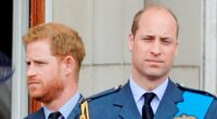 Harry announces trip to Canada as William stages Earthshot Prize