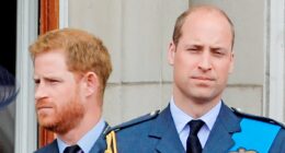 Harry announces trip to Canada as William stages Earthshot Prize