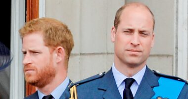 Harry announces trip to Canada as William stages Earthshot Prize