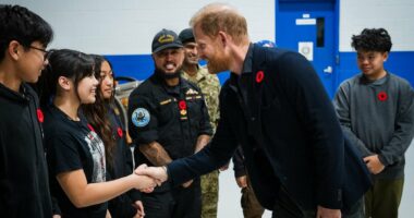 Harry meets Canadian reserve soldiers as he begins pseudo-royal trip