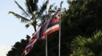 Hawaii locals rage as they are banned from flying state's flag