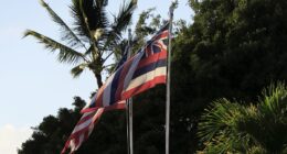 Hawaii locals rage as they are banned from flying state's flag