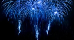 Hearing expert warns Bonfire Night fireworks could trigger debilitating hearing condition tinnitus - and how to protect yourself and your family