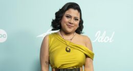 Heartwarming moment American Idol contestant is reunited with long lost brother