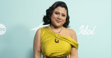 Heartwarming moment American Idol contestant is reunited with long lost brother