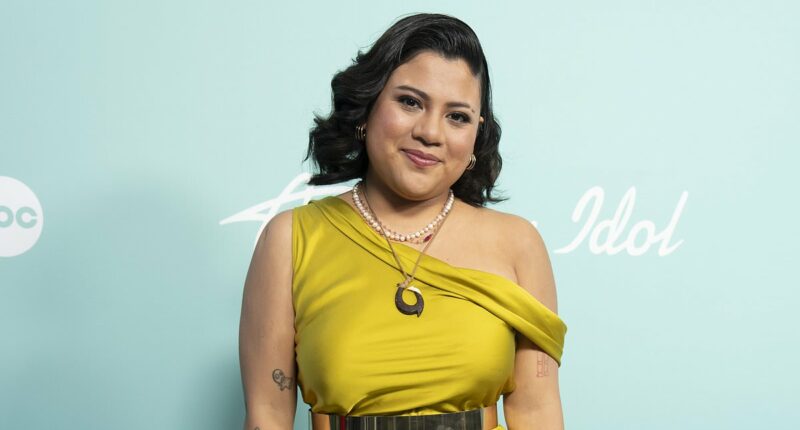 Heartwarming moment American Idol contestant is reunited with long lost brother