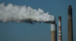 Here's what's next in the fight to curb climate change, now that talks in Brazil have ended