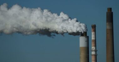 Here's what's next in the fight to curb climate change, now that talks in Brazil have ended