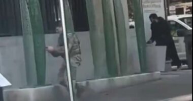 Hero National Guardsman filmed taking down DC shooter