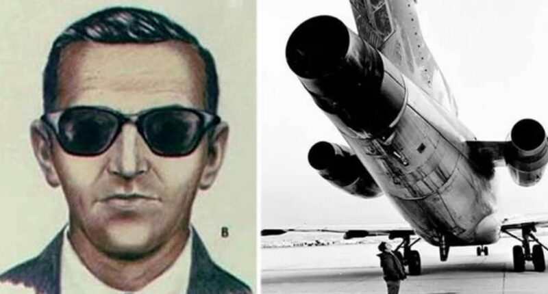 Hijacker jumps out of plane with a million-dollar ransom