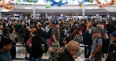 Holiday travel chaos as ground stops and delays hit major US airports