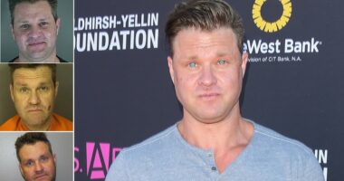 Home Improvement star Zachery Ty Bryan lands sixth arrest in 5 years
