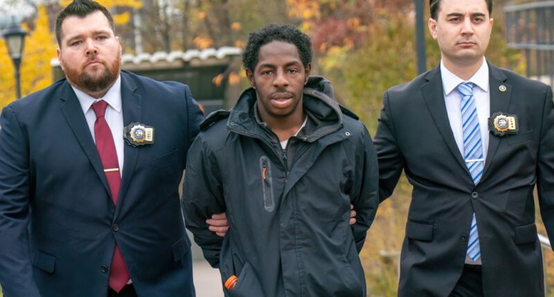 Homeless Queens subway slasher confesses to attacking strangers: ‘Yeah, that’s me’