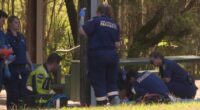 Horror as teenager is stabbed to death outside Aussie school