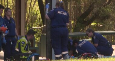 Horror as teenager is stabbed to death outside Aussie school