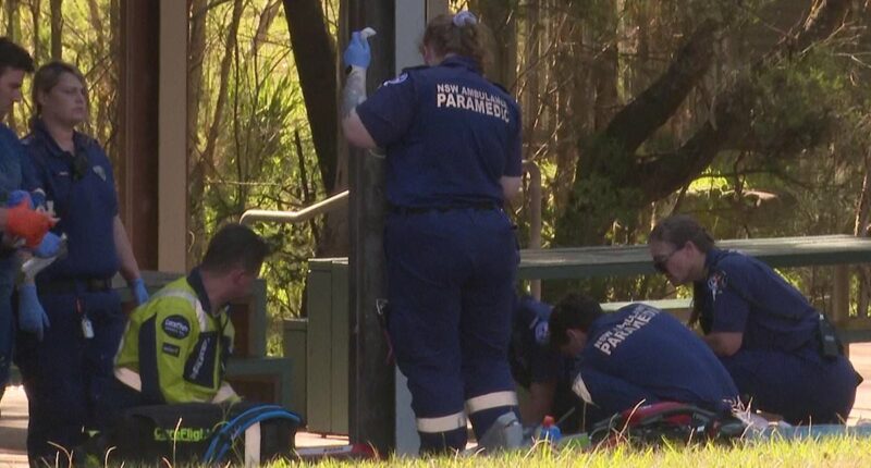 Horror as teenager is stabbed to death outside Aussie school