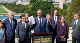 Hot Takes: Goodbye 'Schumer Shutdown,' Replaced by Democrats' Meltdown