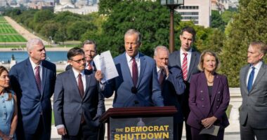 Hot Takes: Goodbye 'Schumer Shutdown,' Replaced by Democrats' Meltdown