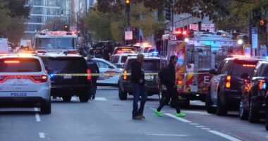 Hot Takes: Outrageous Reactions by the Hypocrites in Legacy Media About DC National Guard Attack