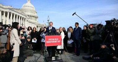 House overwhelmingly clears release of explosive Epstein files in risky brushback of Trump