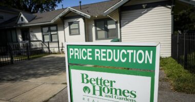 Housing market is 'set to face a price correction worse than 2008'