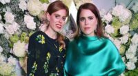 How Beatrice and Eugenie are STILL cashing in: They ignored William's money 'ethics check' and rejected Charles' help. Now BARBARA DAVIES reveals tangled money web - and Andrew's role in their 'gilded lives'