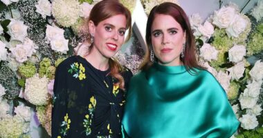 How Beatrice and Eugenie are STILL cashing in: They ignored William's money 'ethics check' and rejected Charles' help. Now BARBARA DAVIES reveals tangled money web - and Andrew's role in their 'gilded lives'