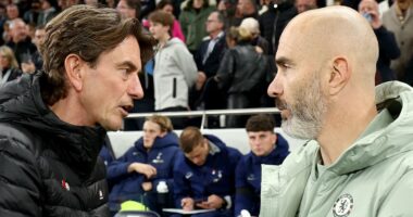 How Chelsea boss Enzo Maresca stumped Thomas Frank's long throw strategy with innovative tactic in win over Spurs... so, has the blueprint been set after Premier League surge?