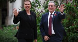 How Denmark smashed migration problems by axing ghettos and benefits