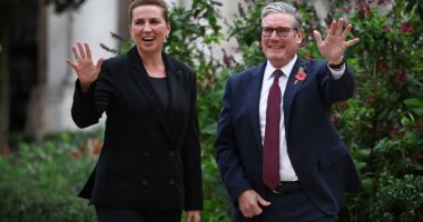 How Denmark smashed migration problems by axing ghettos and benefits