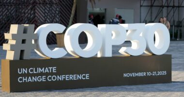 How high-class sex workers are targeting the great and good at COP 30