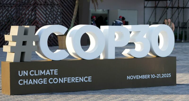 How high-class sex workers are targeting the great and good at COP 30