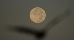 How to spot November's supermoon, the closest of the year