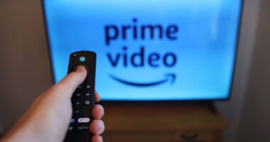 How your 'Dodgy Fire Stick' will lead the police right to your door: Insiders who know enforcers' tactics reveal the key words in text messages and seized customer database that targets viewers in new crackdown