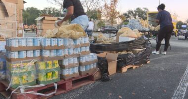 Hundreds line up for Thanksgiving turkey giveaway on Jacksonville’s Northside