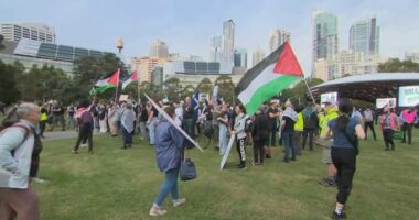 Hundreds protest major weapons expo in Sydney