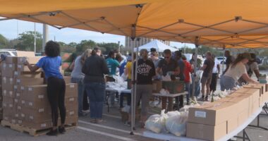 Hundreds turn out for emergency food distribution in Jacksonville amid federal shutdown