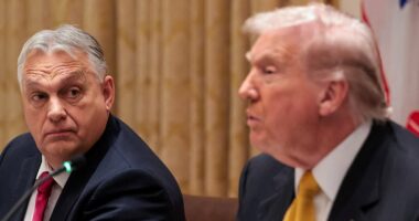 Hungarian autocrat asks Trump if he can 'borrow' blonde attack dog