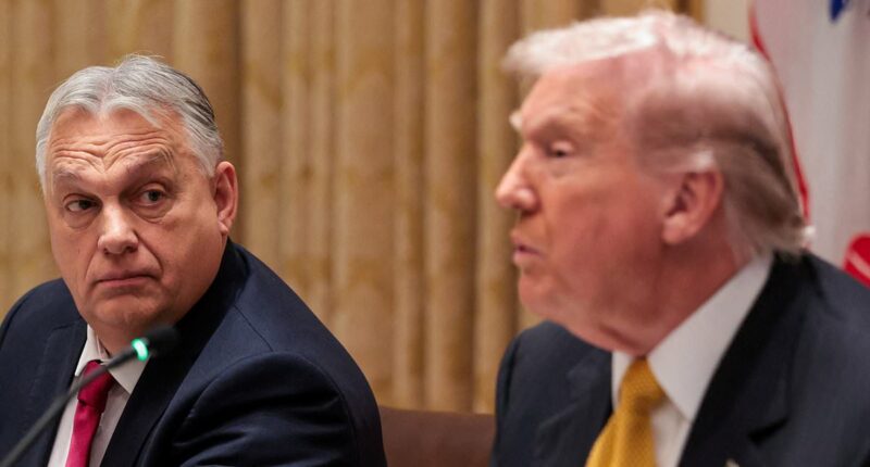 Hungarian autocrat asks Trump if he can 'borrow' blonde attack dog