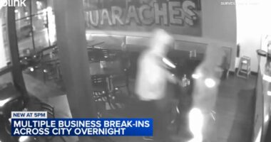 Hyde Park, Chicago crime: Police department investigating 5 break-ins, at least 1 burglary at businesses on 55th, 56th streets