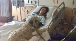 I was a star athlete but my dreams came crashing down after I was paralyzed from a common virus virtually everyone is exposed to