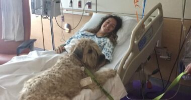 I was a star athlete but my dreams came crashing down after I was paralyzed from a common virus virtually everyone is exposed to