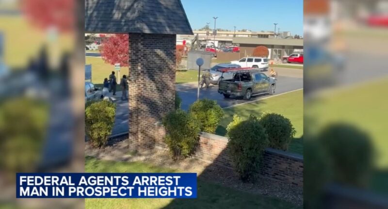 ICE Chicago news: Federal immigration agents detain man at Prospect Heights, Illinois apartment complex, video shows