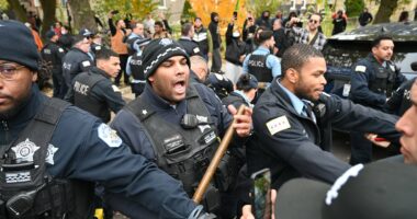 ICE agents targeted in Chicago drive-by shooting amid rising threat