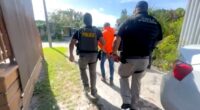 ICE and Florida arrest 230 criminal illegal aliens in 10-day operation