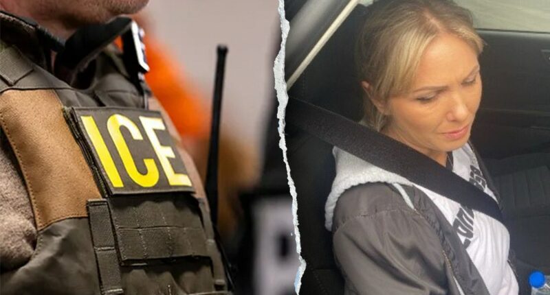 ICE arrests Moldovan illegal immigrant and convicted killer who tortured, threw victim out ninth-floor window