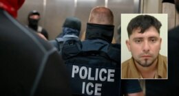 ICE arrests illegal immigrant accused of brutal tire iron attack, sexual assault of Texas woman