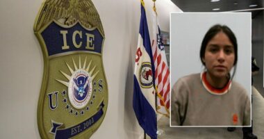 ICE arrests illegal immigrant in Massachusetts accused of stabbing coworker with scissors, trash bin attack