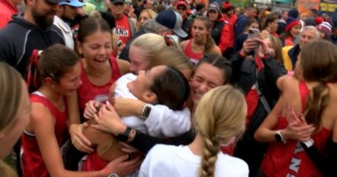 IHSA state cross country: Glenwood girls' headline impressive local performances